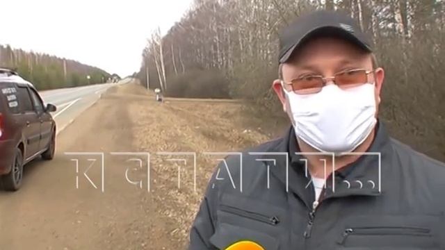 Охота из кустов на нарушителей ПДД продолжается, несмотря на режим самоизоляции смотреть онлайн