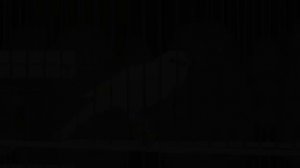 Для Обучения Канарейки. Песня канарейка. Тренировка канареек. Пение кенара поёт Птицы.