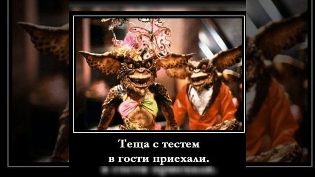 Я бы любил утро больше, если б оно начиналось позже... #анекдоты #юмор смотреть онлайн