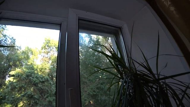 Травим жуков. Эффективный яд. Нашествие жуков в Алматы. смотреть онлайн