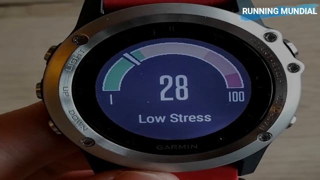 GARMIN VENU – ➡️ VIVO ACTIVE 4 ✔️ DIFERENCIAS para DEPORTE смотреть онлайн