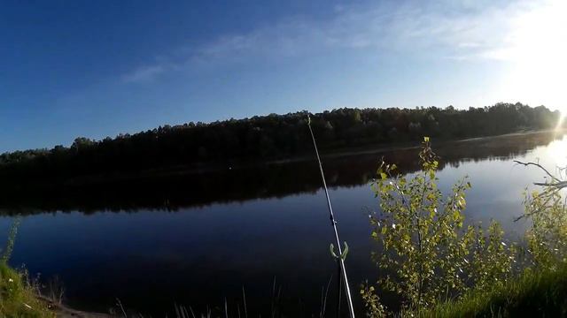 Жерех на хруща и немелкая "косточка". смотреть онлайн