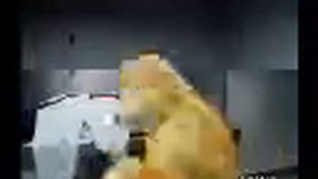Eric Levis FlatEric смотреть онлайн