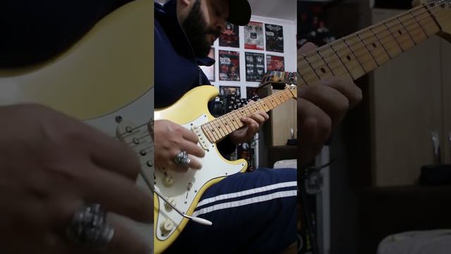 High Gain Single Coils смотреть онлайн