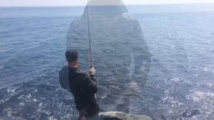 Ловля минтая с берега