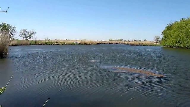 Рыбалка с активатором клёва “FishHungry” 1 часть смотреть онлайн