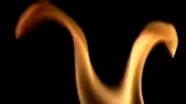 Multimedia Project смотреть онлайн