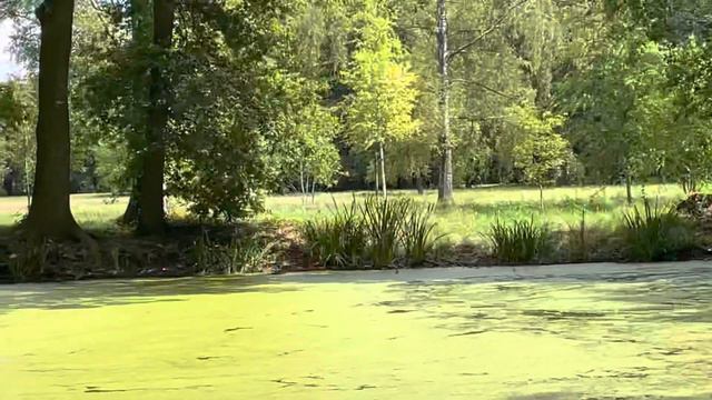 Замок Анхольт. 2 июля 2022.