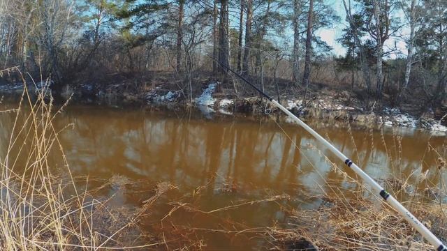 Рыбалка на Балдушке и Пышме весной. Из Тюмени на свежий воздух. смотреть онлайн