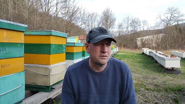 Тайна БАДЯЖНОГО мёда! Часть 2. смотреть онлайн