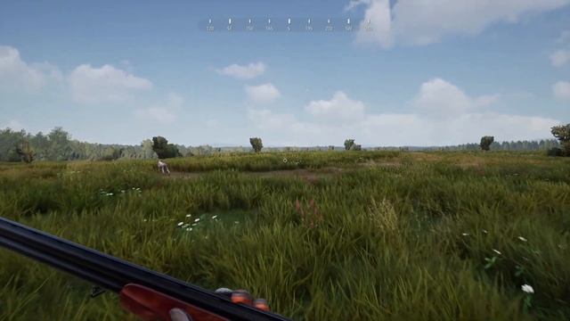 Hunting Simulator 2 - Pheasant Hunting With German Shorthaired Pointer