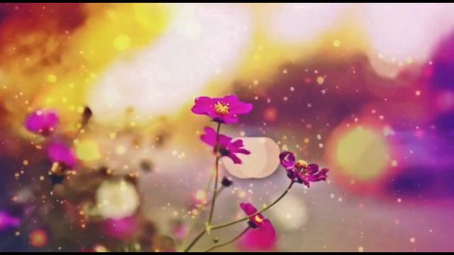 舊夢何處尋-鄧麗君(國語)老鷹之歌(英語)(口琴獨奏伴卡拉OK) Michael Gor смотреть онлайн