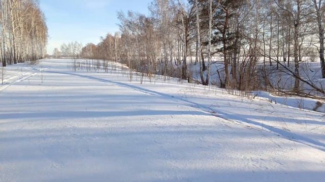 ОХОТА НА ЗАЙЦА зайчатники в деле #ru_kompass #охота #иж27