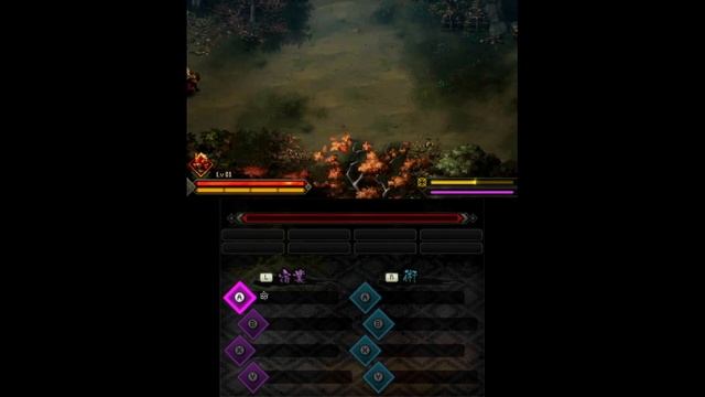 Nintendo 3DS - Ishi Sengokuden Sadame смотреть онлайн