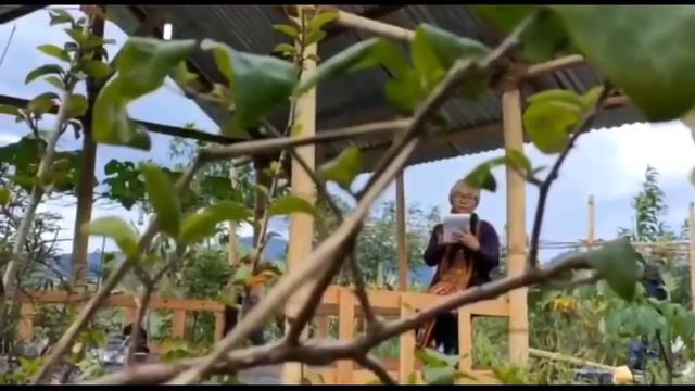 Puisi Sarik (bhs Gayo) karya L K Ara dibacakan Sri Wahyuni смотреть онлайн