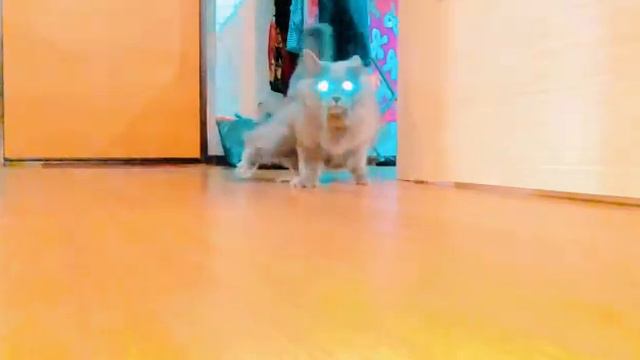 это называется настоящий дрифт смотреть онлайн