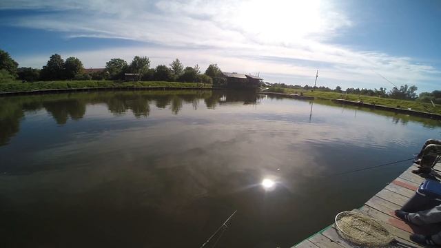 Рыбалка в Сытом коте смотреть онлайн
