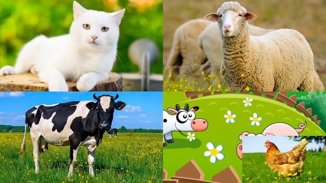 Животные для детей. Изучаем домашних животных. Развивающее видео для малышей смотреть онлайн