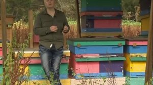 Геннадий Семыкин в ТВ передаче «Нужное подчеркнуть» 2 часть