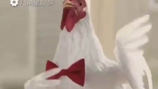 Ко ко ко песня петуха смотреть онлайн