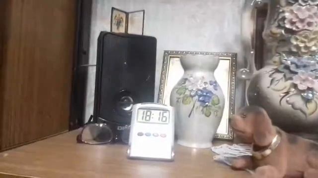 АКУСТИКА DEXP T 500 смотреть онлайн