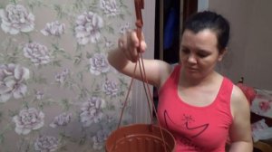 РАЗМНОЖАЕМ ТРАДИСКАНЦИЮ / ПРОДОЛЖАЕМ ИСКАТЬ ГОРШКИ / НАВЕРНОЕ ПОСЛЕ ПРИВИВКИ