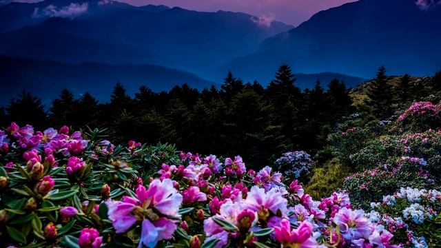 Христианское стихотворение - Комната моя смотреть онлайн