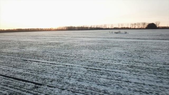 Почему Peugeot Traveller ДЕШЕВЛЕ Мультивена? Тест-Драйв Пежо Тревеллер 2020