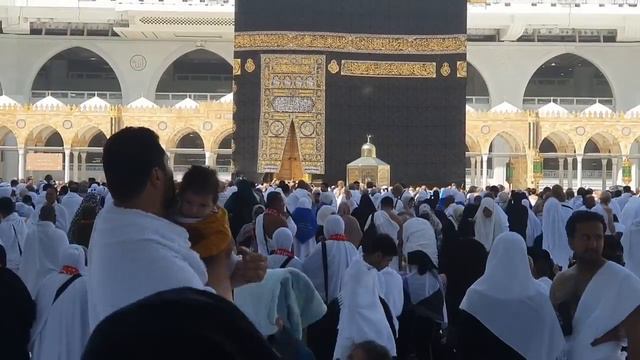 Umrah Karne Ka Tarika | How To Perform Umrah | Umrah Karne Ka Sunnat Tariqa | Umrah Step By Step смотреть онлайн