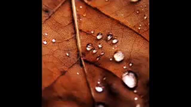 про зависть между требующими знание 1 2/4 смотреть онлайн