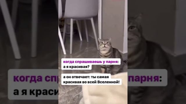 😅 смотреть онлайн