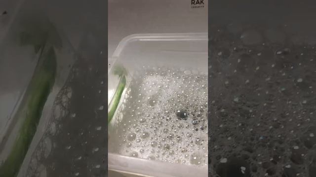 Пена появляется из воды. смотреть онлайн