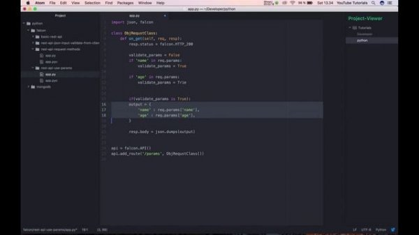 Python - Falcon - Part 5 - Learn how to use params and validate it