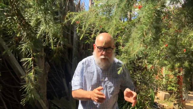 Astrophel and Stella Sonnet 82 By Sir Philip Sidney Poem #138 4.08.20 смотреть онлайн