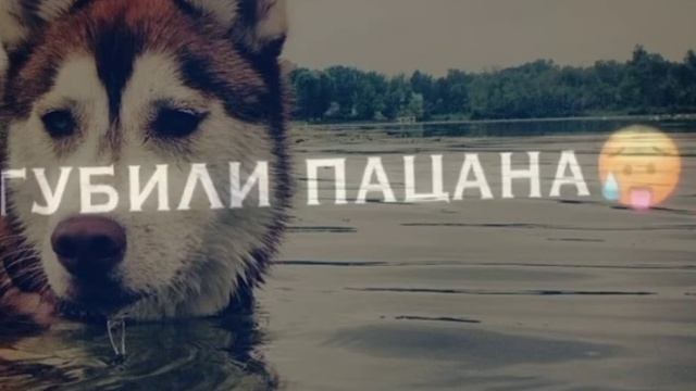 Длинные ресницы, черные глаза, красотой своей, сгубили поцана?✨ смотреть онлайн