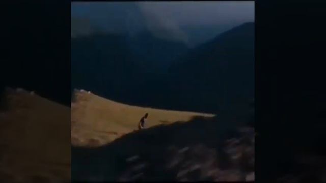 хабиб смотреть онлайн