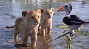 Король лев песня Поскорей бы мне стать королем(2019)(Только аудио)