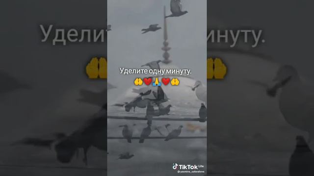 Нашид с переводом 😍 смотреть онлайн