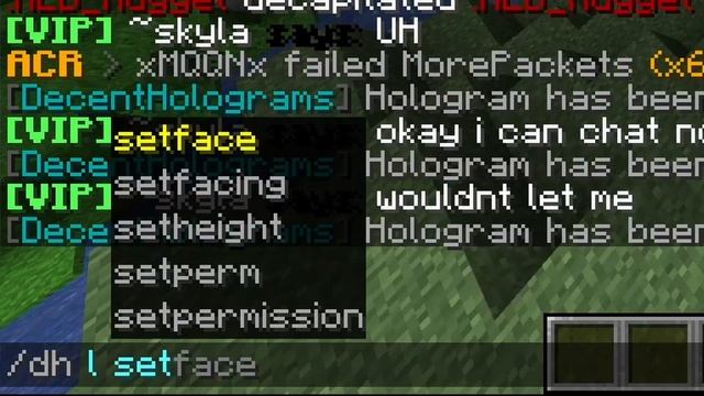 Add Floating Text to your Minecraft Server! Decent Holograms Tutorial | 1.8 - 1.19 смотреть онлайн