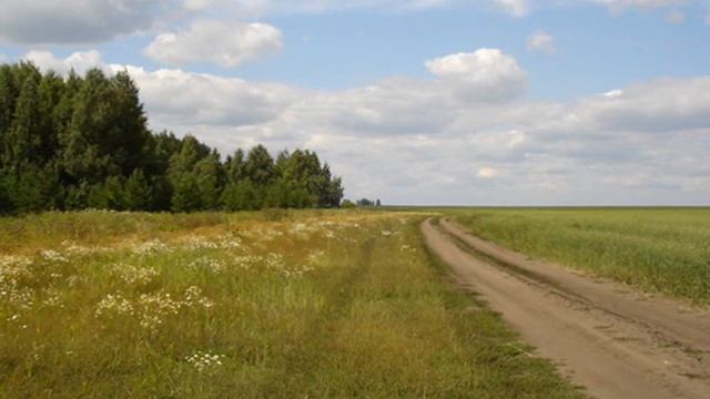 Wind_of_HomeLand смотреть онлайн