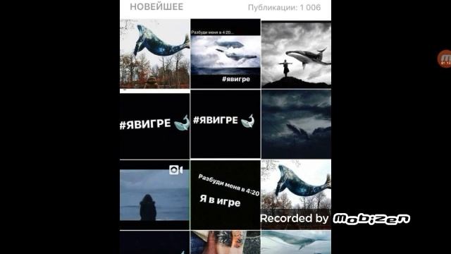 Синий кит #явигре ( поговорим про синего кита) смотреть онлайн