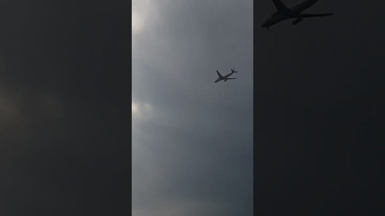 ШАРИК ✈ смотреть онлайн