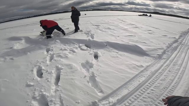 УДАЧНЫЙ ВЫЕЗД НА РЫБАЛКУ! КРОКОДИЛЫ НАС ВСТРЕТИЛИ С ХОДУ! ОГРОМНЫЕ ОКУНИ #ЖЕРЛИЦЫ #ТАЙГА #2024 #ЛАЙ смотреть онлайн