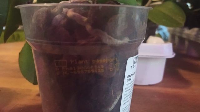 Что означают цифры на горшке с цветком. смотреть онлайн