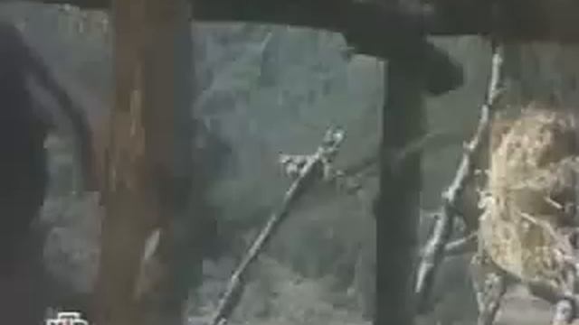 Самооборона с ножом и от ножа смотреть онлайн