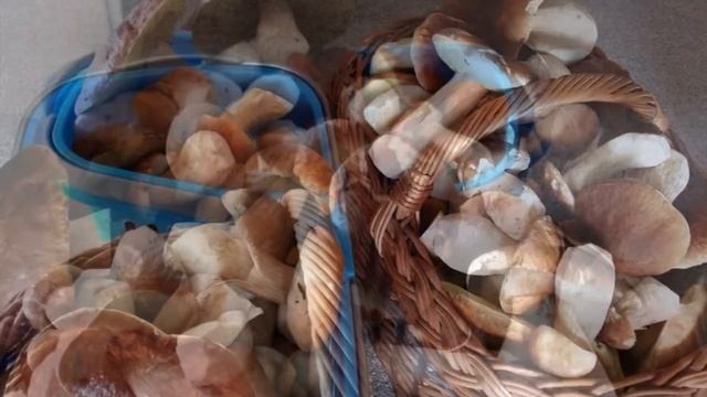 Стих: погода в доме смотреть онлайн