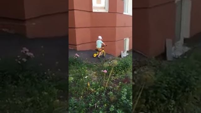 Беговел Puky LR M для малышей от 2 до 4 лет смотреть онлайн