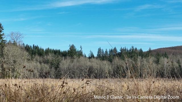 DJI Mavic 3 Vs Mavic 3 Classic: Optical Vs Digital Zoom?