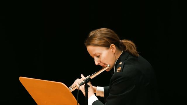Flight Of The Bumblebee - R. Korsakov, arr. A.v.Leeuwen (Luxembourg Military Band - Flute Ensemble смотреть онлайн