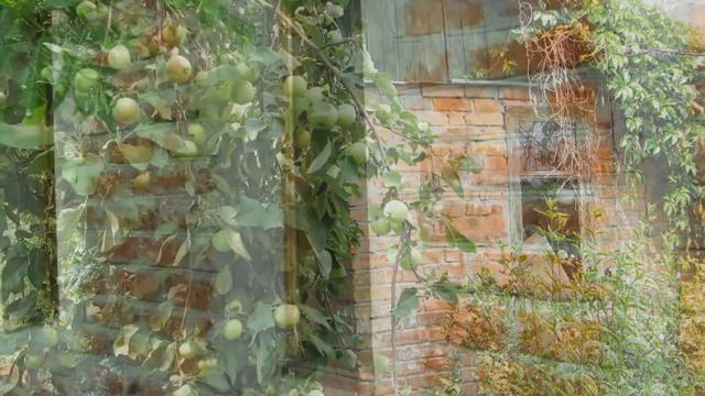 Продам дом в г.Южном 15 км от Харькова смотреть онлайн